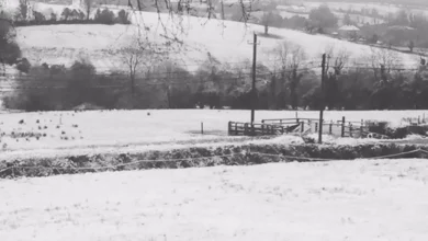 Revealed: The Irish county most likely to see snow this Christmas