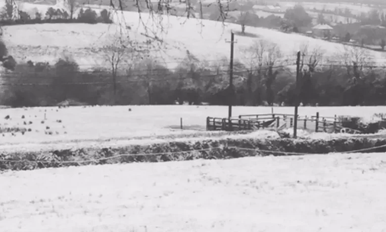 Revealed: The Irish county most likely to see snow this Christmas