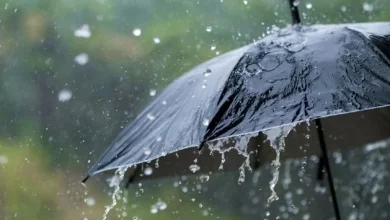 Risk of hail and thunderstorms amid ‘fairly changeable’ weather this week, says Met Éireann