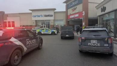 Robbers target Georgian Mall jewelry store in brazen heist
