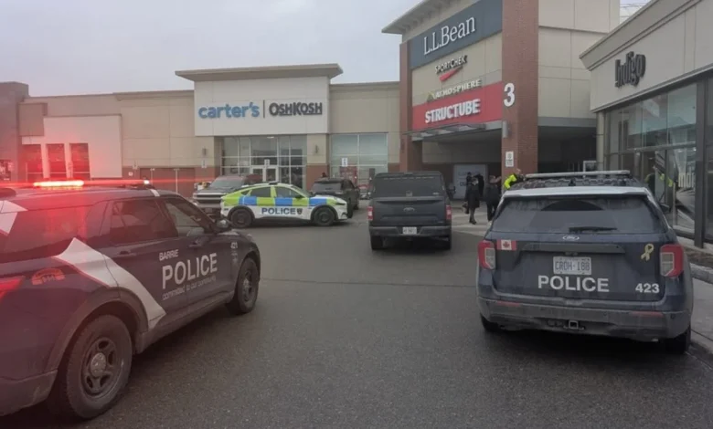 Robbers target Georgian Mall jewelry store in brazen heist