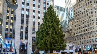 Rockefeller Center Christmas tree lighting 2025 live updates: Where to watch, performers, time, channel and more
