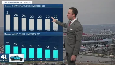 Rollercoaster temperatures this week