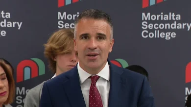 SA premier seeking to be heard in High Court challenge against social media ban