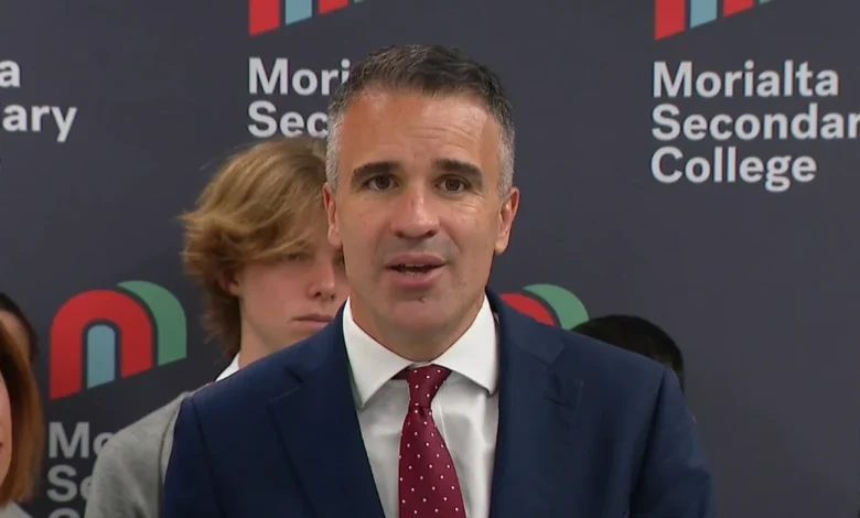 SA premier seeking to be heard in High Court challenge against social media ban