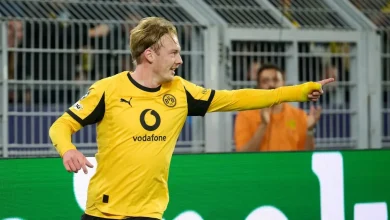 SC Freiburg - BVB JETZT live im TV: Übertragung der 1. Bundesliga im TV und Stream