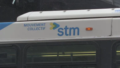 STM maintenance workers’ strike: Essential services deemed sufficient, Tribunal says