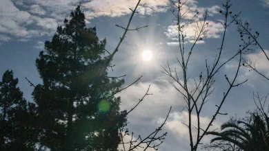 Sacramento racks up record 22 days of gloomy weather. Will the sunshine last?