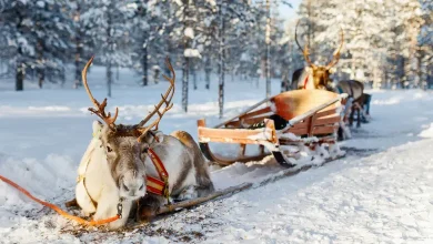 Santa Claus effect, or how tourists are damaging Lapland