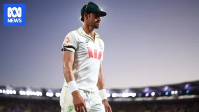 Saved by Starc, Australia's selection gamble exposes its underbelly