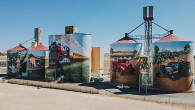 Scan, sing, and selfie at the Colbinabbin's Christmas carol trail