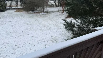 School Closing/Delay Prediction For Monday, December 15th