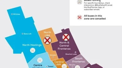 School buses cancelled Monday north of Napanee and Kingston