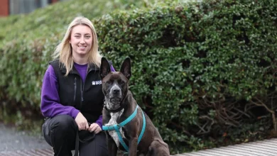 Scotland’s loneliest pets who want forever homes