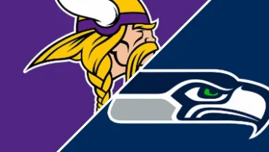 Seahawks 26-0 Vikings (Nov 30, 2025) Game Recap