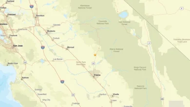 Seismic activity on Nov. 19: Earthquake near Yosemite Lakes, CA detected - magnitude 2.0
