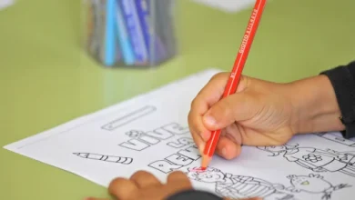 Service minimum d'accueil dans les écoles le 2 décembre 2025