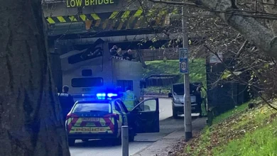 Several children injured after bus roof ripped off in low bridge crash