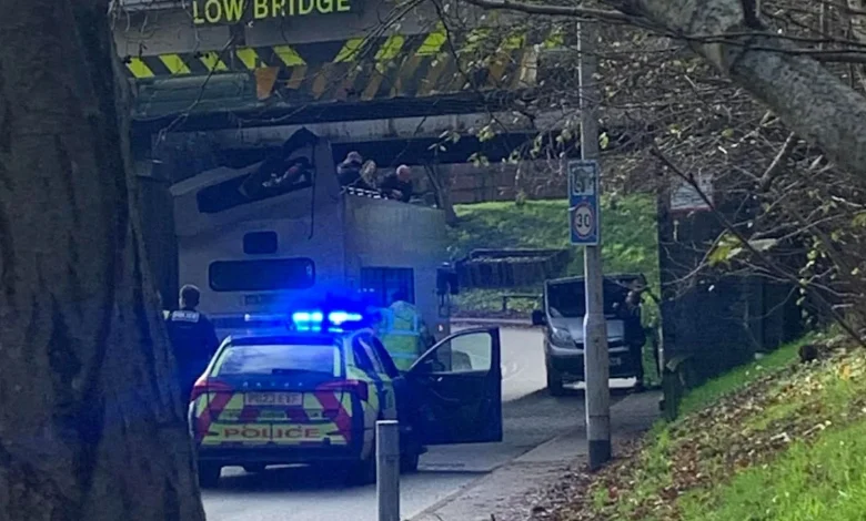 Several children injured after bus roof ripped off in low bridge crash