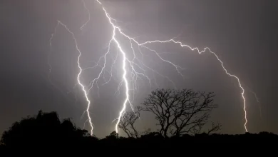 Severe storms soaking Sydney, Illawarra with more to come
