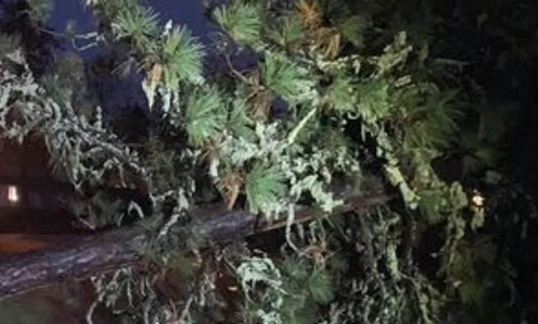 Severe weather causes school delays and road closures in Oregon