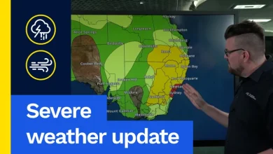 Severe weather update: Severe storms NSW/Vic and strong winds in Tas