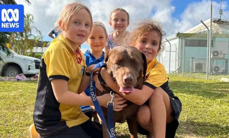 Shiloh the Last Dog on Christmas Island: A Beloved Community Companion
