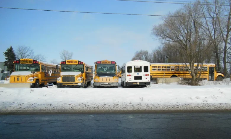 Simcoe County School Bus Status Today: No Cancellations Reported in Any Zone