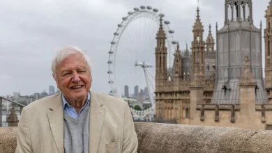 Sir David Attenborough connects with London's wildlife in heartfelt BBC special before 100th birthday