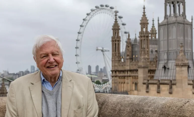 Sir David Attenborough connects with London's wildlife in heartfelt BBC special before 100th birthday