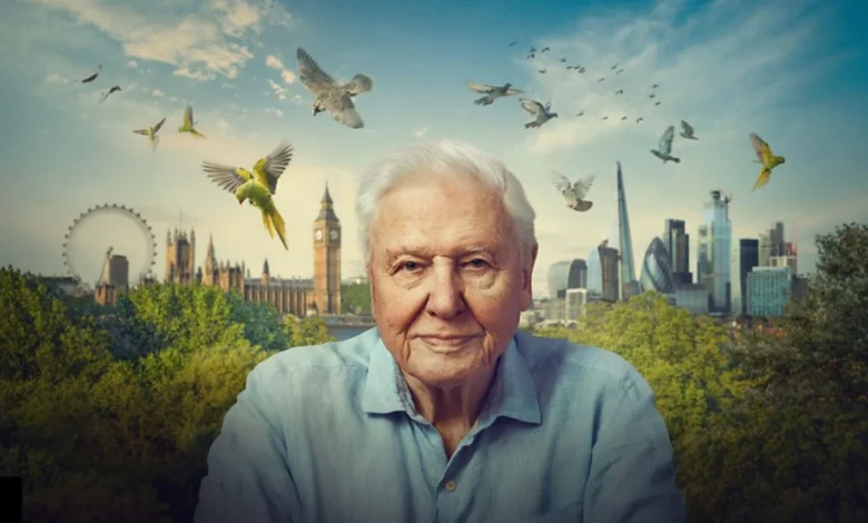 Sir David Attenborough will be back on our screens - and London’s wildlife will be in the spotlight