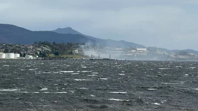 Smoke alert issued as bushfire burns near New Town Bay Golf Course