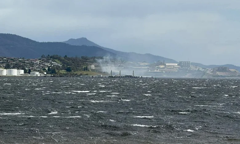 Smoke alert issued as bushfire burns near New Town Bay Golf Course