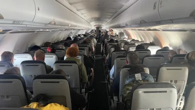 "Snitch On Them!" Frontier Flight Attendant Deputizes Passengers To Locate Unauthorized Dog Onboard
