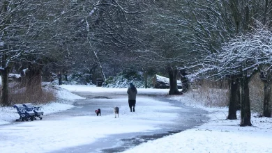 Snow Forecasted for New Year’s Day in Liverpool