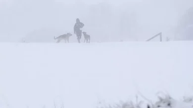 Snow maps show where Brits could see white Christmas