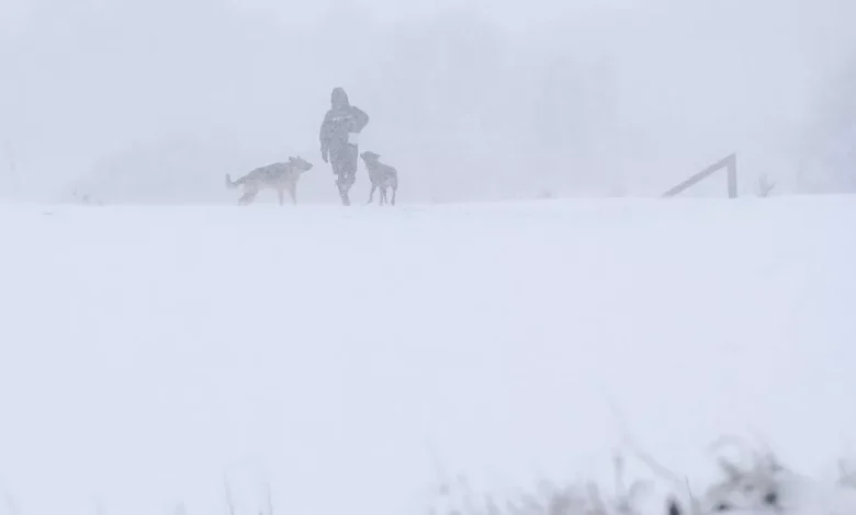 Snow maps show where Brits could see white Christmas