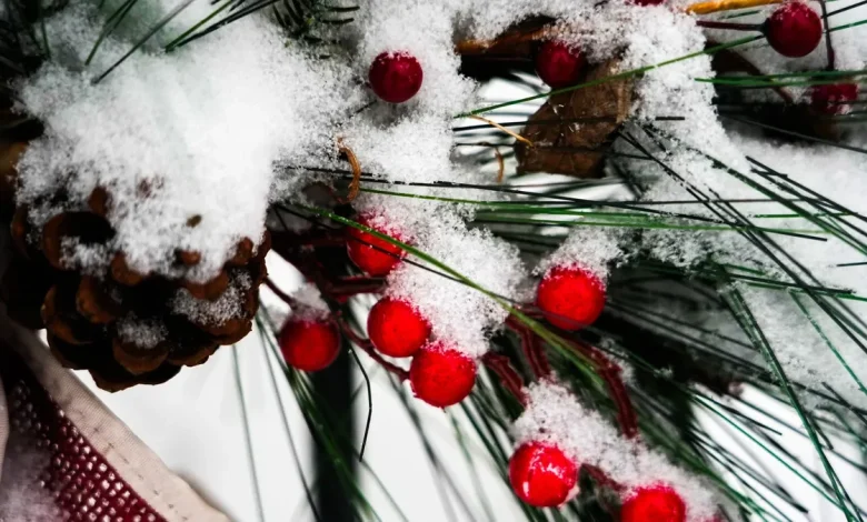 Snowfall totals for Dec. 13, 2025, in Columbus and across Ohio