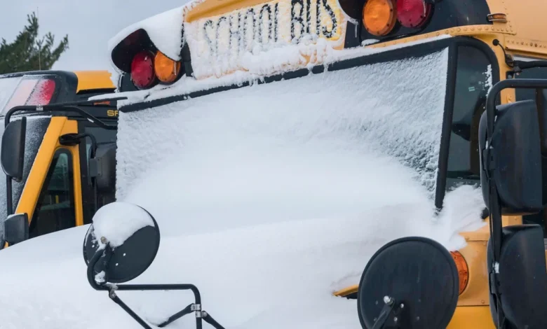 Some Minnesota schools closing as winter storm blows in. See the latest listings.