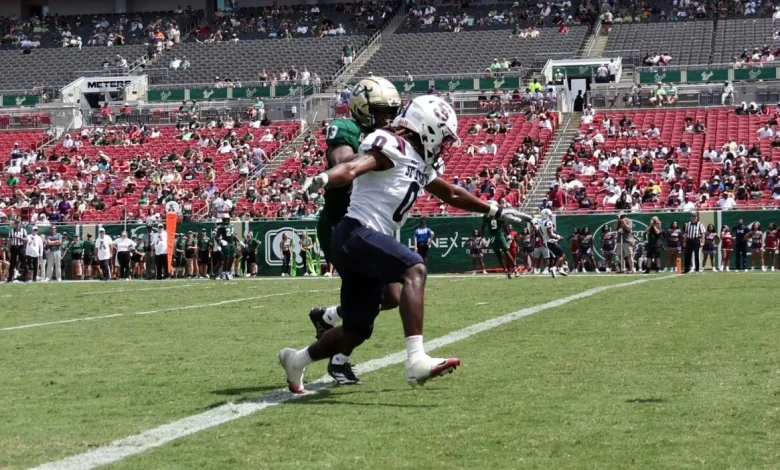 South Carolina State vs. Prairie View A&M prediction, odds, time: 2025 Celebration Bowl picks from top expert