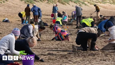 Southern Water uses new devices to speed up beach pellet removal