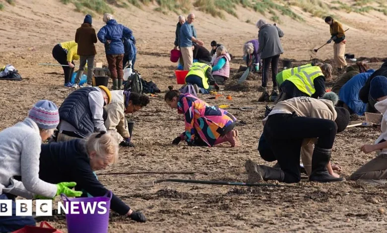 Southern Water uses new devices to speed up beach pellet removal