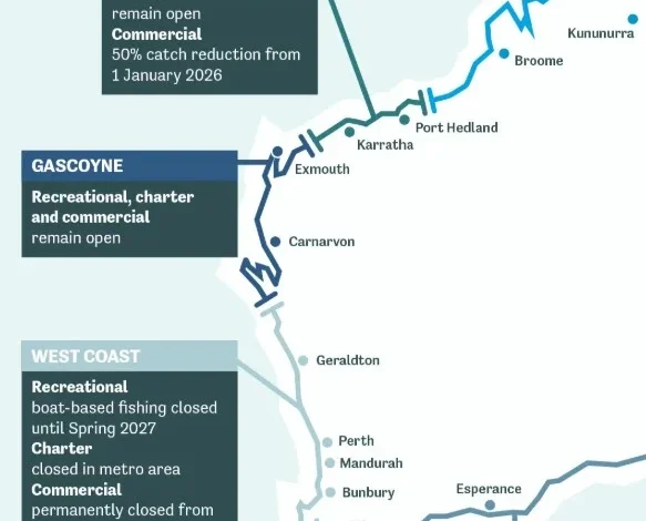 State-wide reforms to protect fish for future generations: Cook, Jarvis