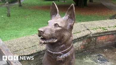 Statue of After Life's Vislor Antilly unveiled in Hemel Hempstead