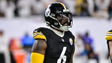 Steelers Lose Key Linebacker to Injury vs. Bills