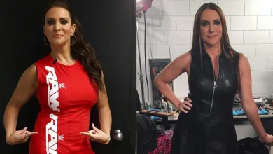 Stephanie McMahon To Ex-WWE Employee: "I Did Flash You Before"