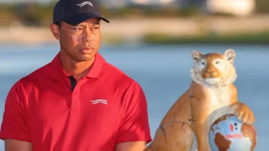 Steve Palmer's free golf betting predictions for the Hero World Challenge