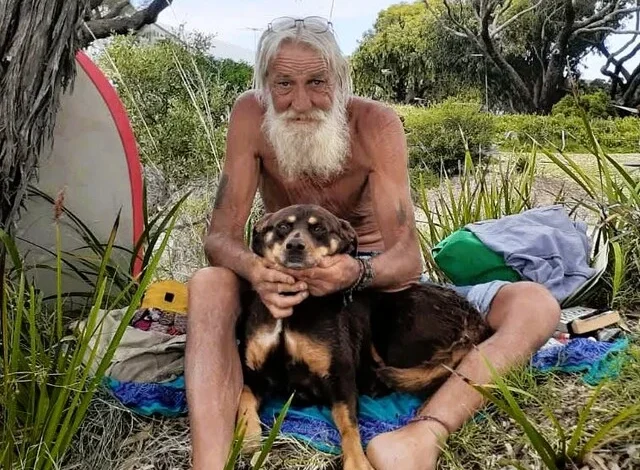 Steve and Gaia – together forever