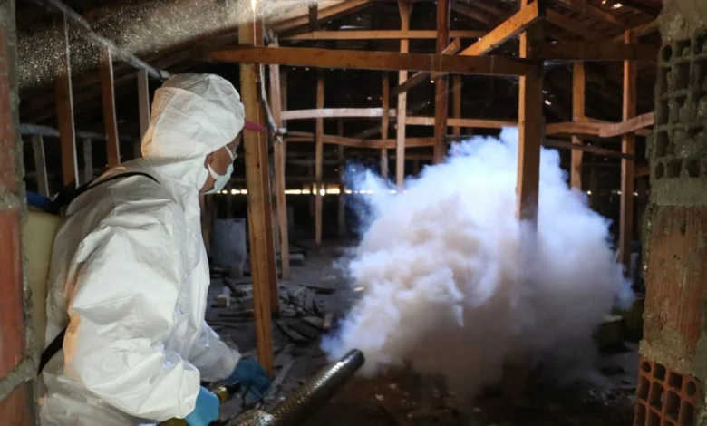 Stink bug threatens crops as control continues in northern Türkiye | Daily Sabah