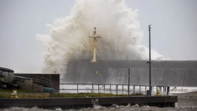 Storm Bram: Wicklow photos show rough sea conditions amid flooding and power outages